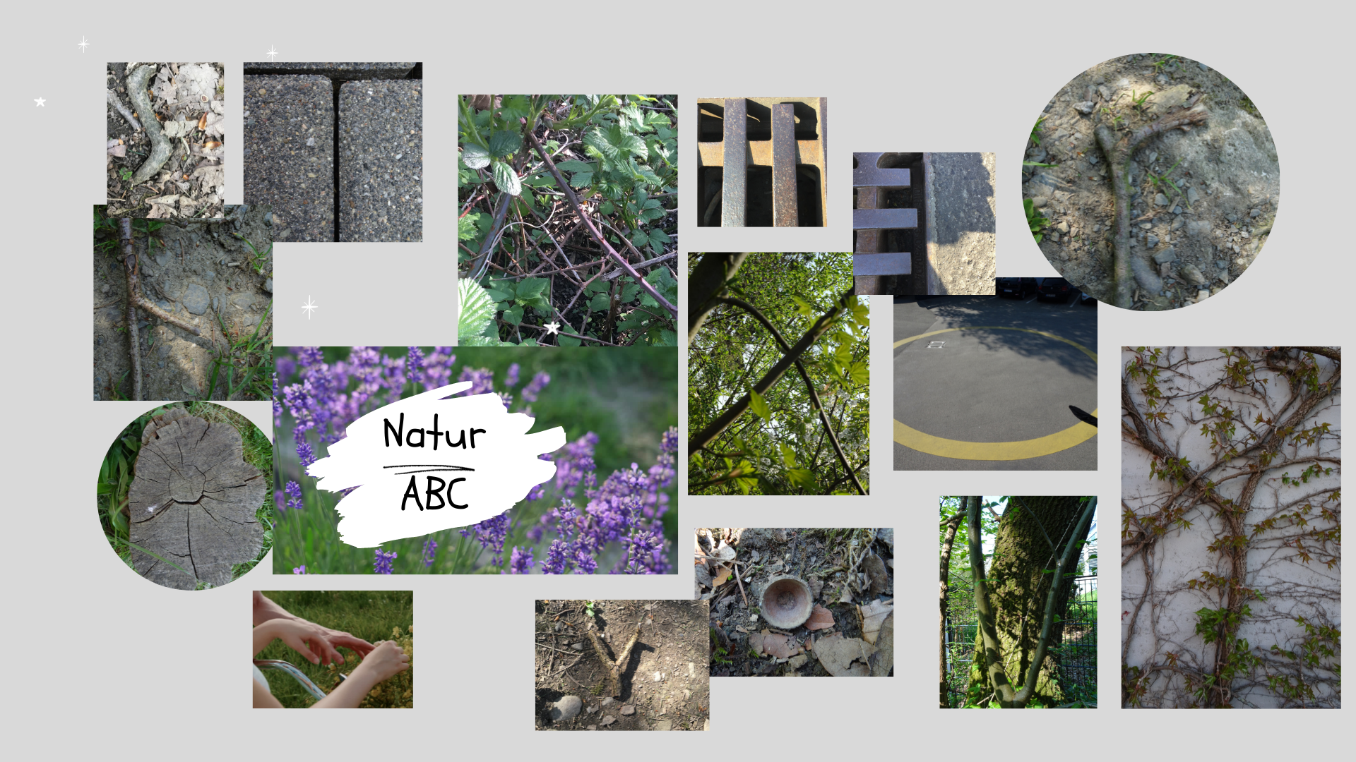 Natur ABC Video