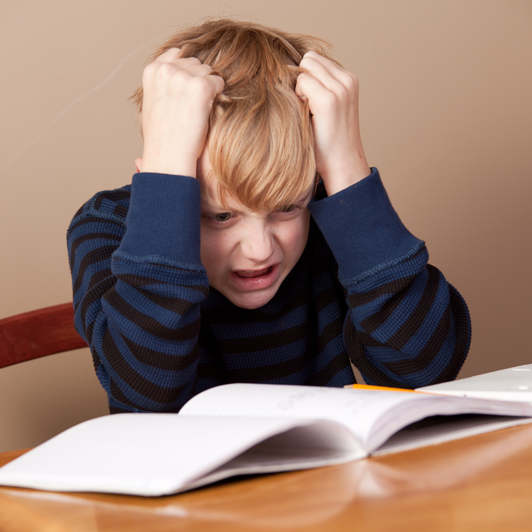 ENTWÜRFE Werbeanzeigen(8)